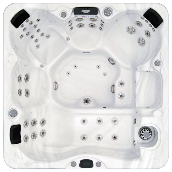 Avalon-X EC-867LX hot tubs for sale in Jackson